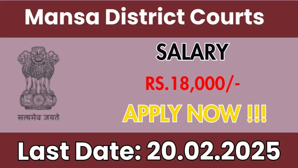 Mansa District Courts Process Server Recruitment 2025