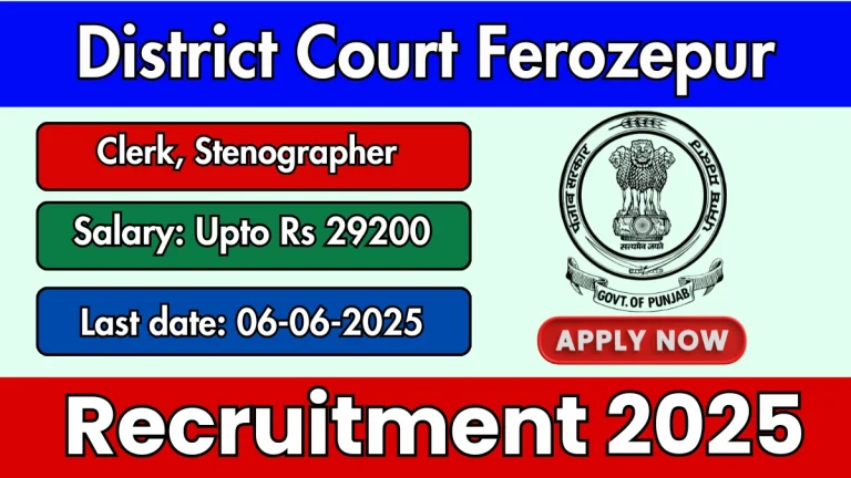 District Court Ferozepur Recruitment 2025 - Apply Offline for 47 Clerk, Stenographer Posts