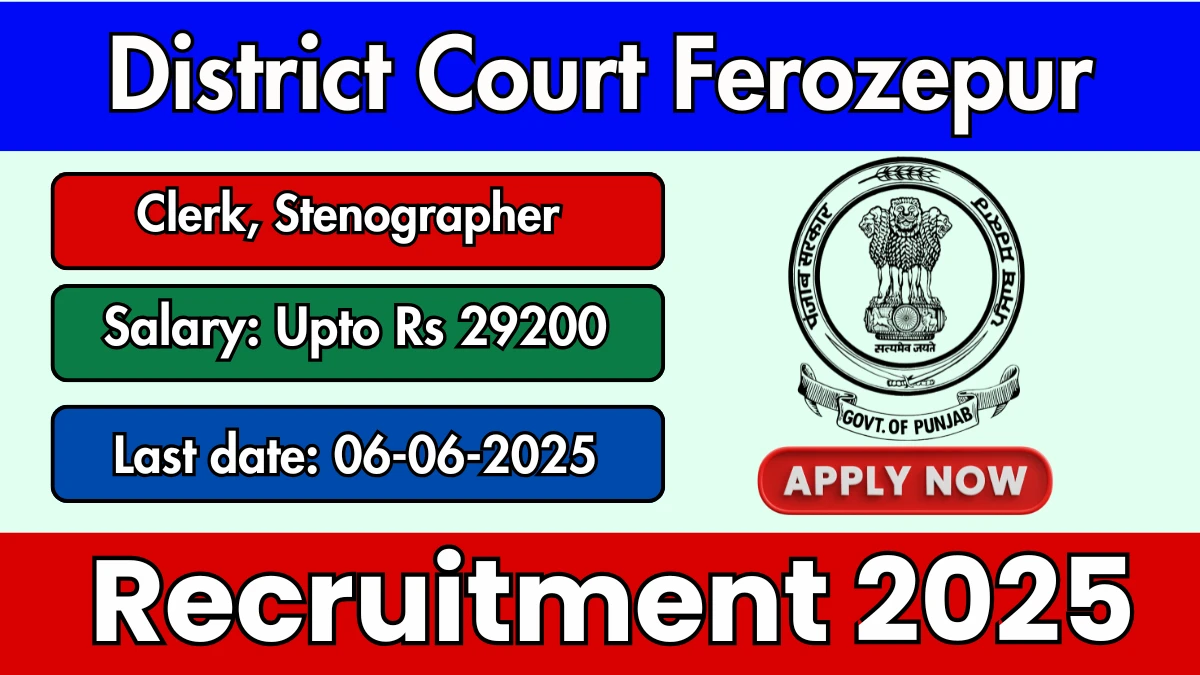 District Court Ferozepur Recruitment 2025 - Apply Offline for 47 Clerk, Stenographer Posts