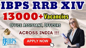 IBPS RRB XIV Recruitment 2025 Notification OUT - Apply online for 13,217 Office Assistant, Officers Posts by 21 Sep