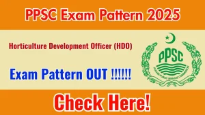 PPSC HDO Exam Pattern 2025